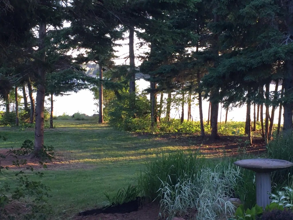 23. On The&nbsp;Island